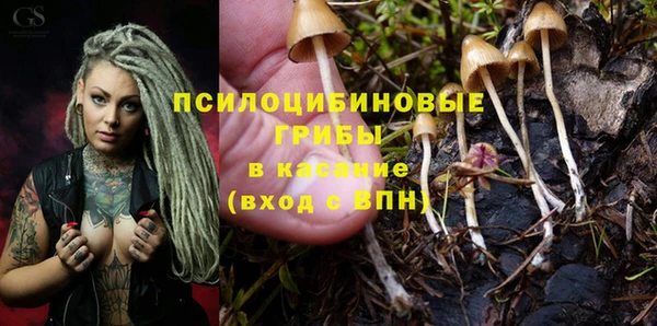 таблы Новодвинск