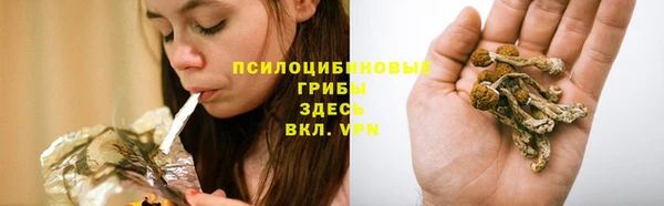 героин Новозыбков