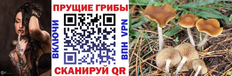 МЕГА маркетплейс  маркетплейс какой сайт  Галлюциногенные грибы MAGIC MUSHROOMS  дарнет шоп  Фурманов 